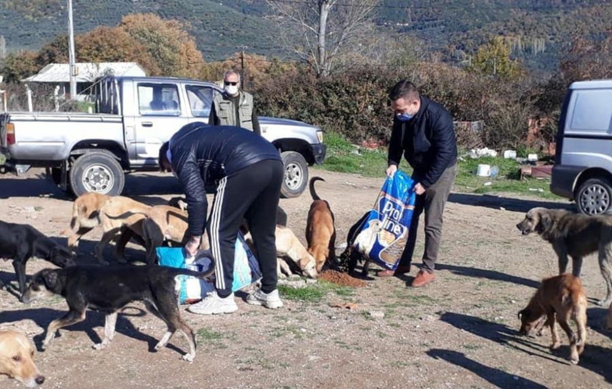 Hayvanseverler &ccedil;&ouml;pl&uuml;kteki a&ccedil; hayvanlara duyarsız kalmadılar