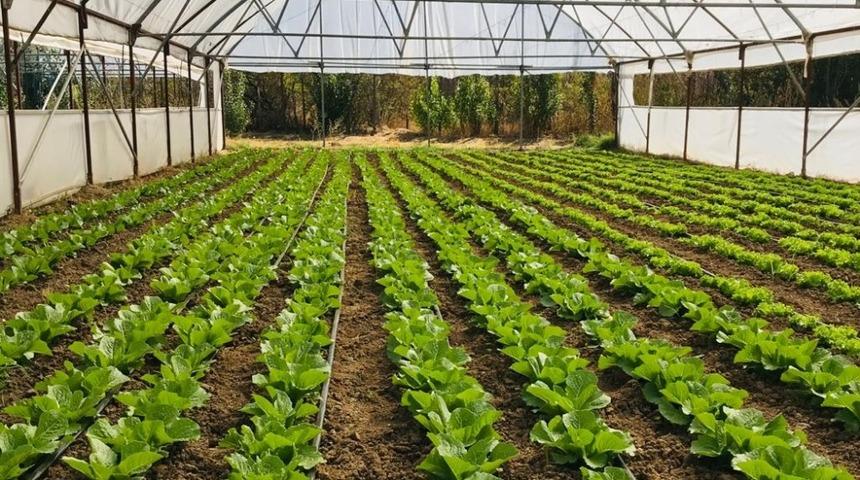 Organik Tarım Desteklemeleri m&uuml;racaatları başladı