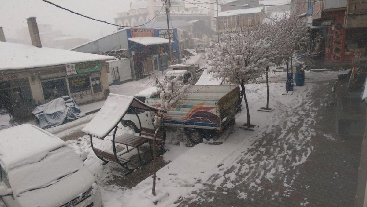 &Ouml;zalp il&ccedil;esinde kar yağışı