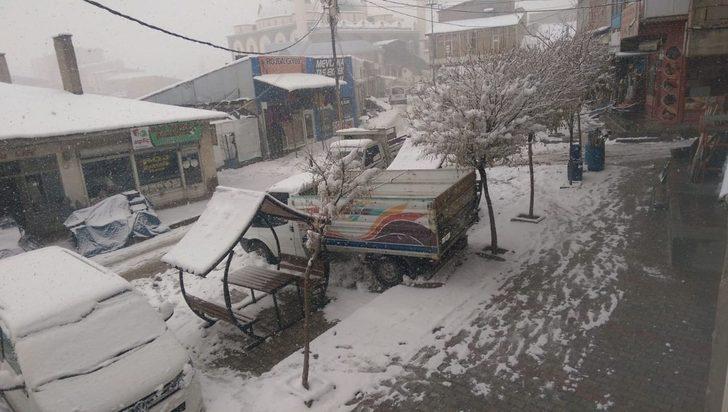 Özalp ilçesinde kar yağışı G1