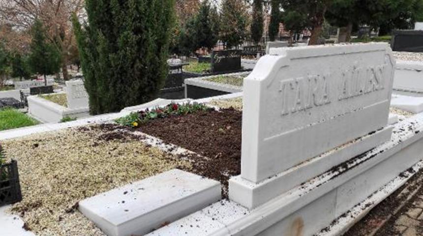 Şarık Tara'nın babalık davası nedeniyle mezarı açıldı