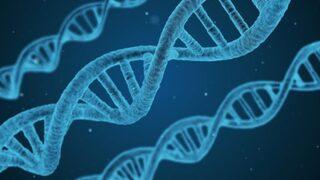 Mutasyon nedir? Mutasyon sonucu oluşan hastalıklar nelerdir?