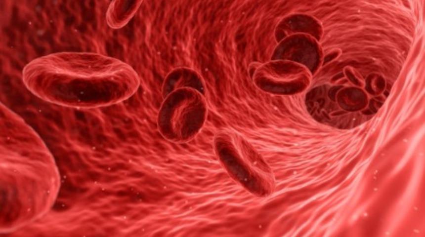 Sıkça araştırılan T hücresi nedir? Koronavirüse karşı etkisi var mıdır? İşte T hücresi hakkında tüm detaylar