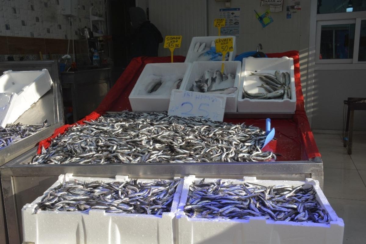 Sinop&rsquo;ta k&ouml;t&uuml; hava hamsiyi vurdu