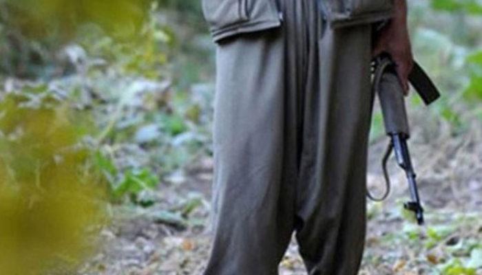 Son dakika! PKK'da çözülme devam ediyor: 5 terörist teslim oldu