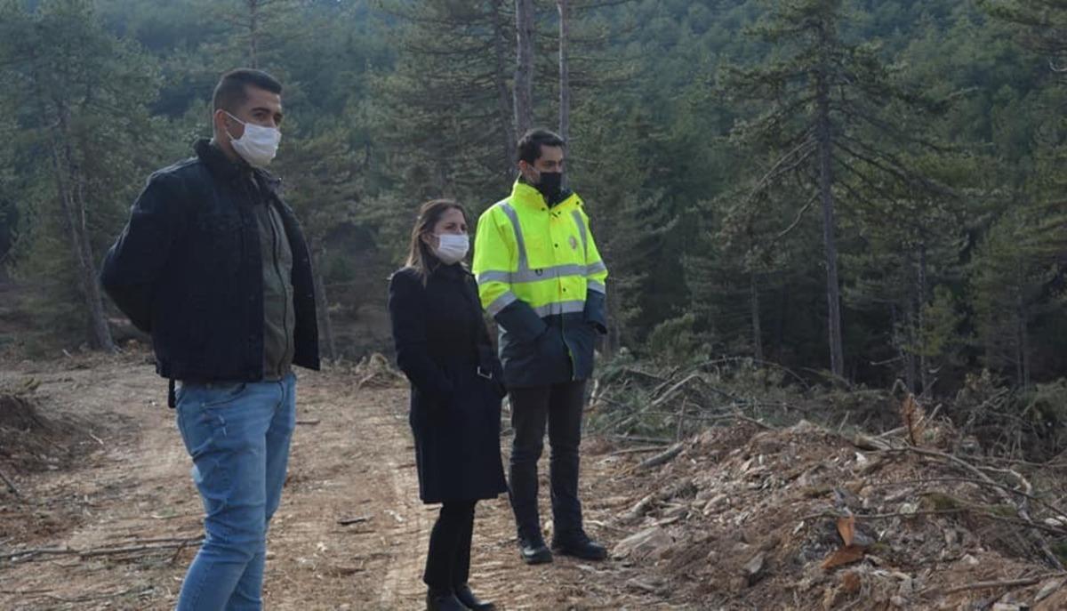 Kaymakam Yazıcı orman tensil &ccedil;alışmalarını inceledi