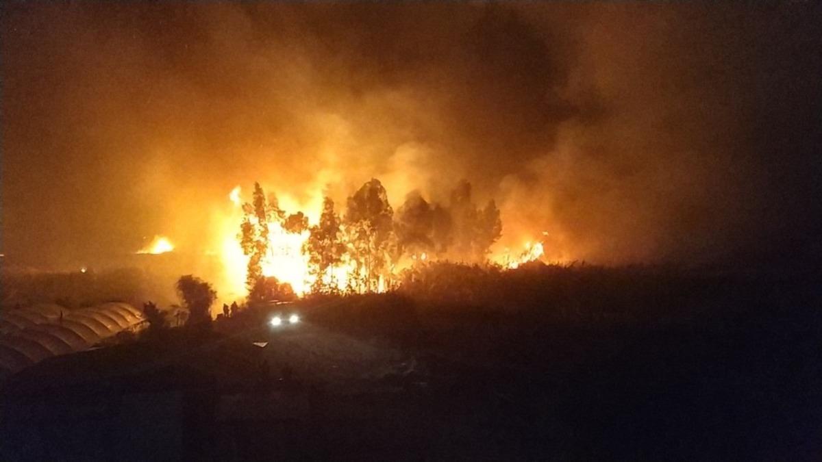 Seydikemer&rsquo;de alevler seralara sı&ccedil;ramadan s&ouml;nd&uuml;r&uuml;ld&uuml;