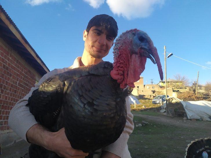 Elazığ’da pandemi ve yasaklar hindiye talebi azalttı G2