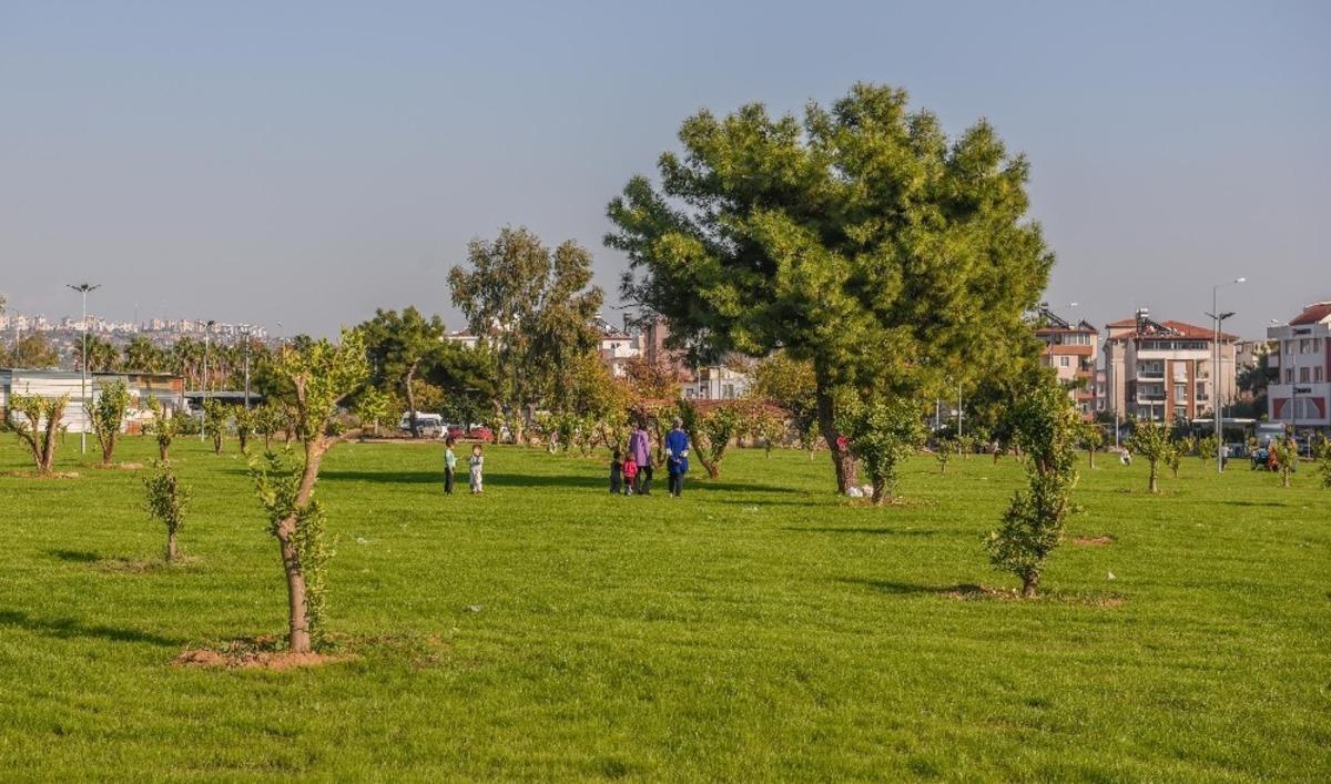 Kepez , moloz alanı yeşil  bah&ccedil;eye d&ouml;n&uuml;şt&uuml;rd&uuml;