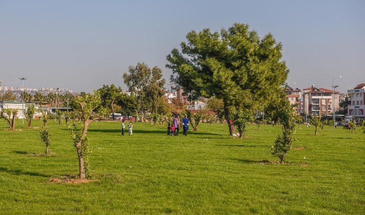 Kepez , moloz alanı yeşil  bahçeye dönüştürdü G1
