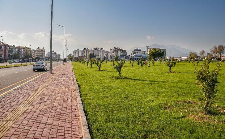 Kepez , moloz alanı yeşil  bahçeye dönüştürdü G4