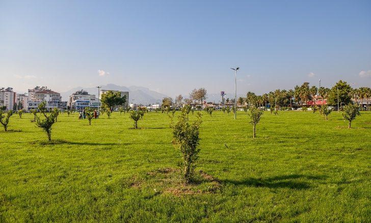 Kepez , moloz alanı yeşil  bahçeye dönüştürdü G5