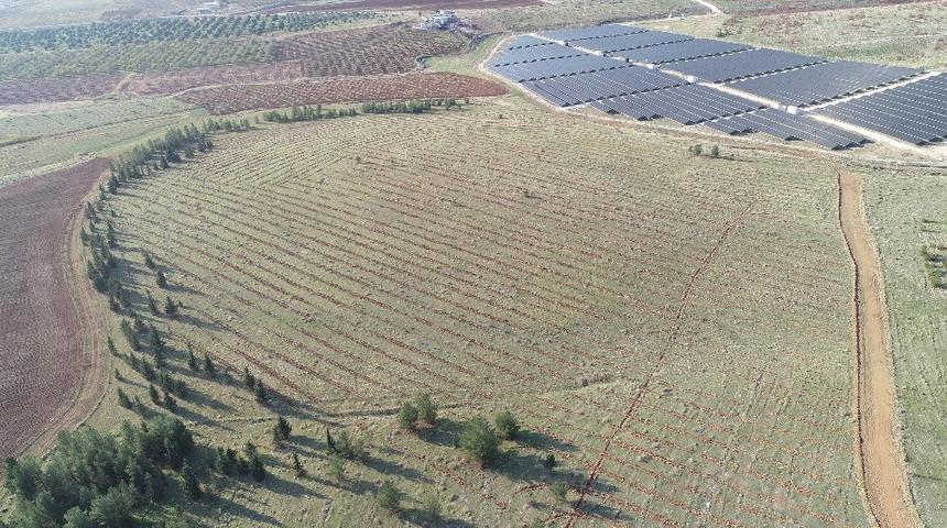 Şanlıurfa&rsquo;da evlenen &ccedil;iftler i&ccedil;in fidan dikim etkinliği