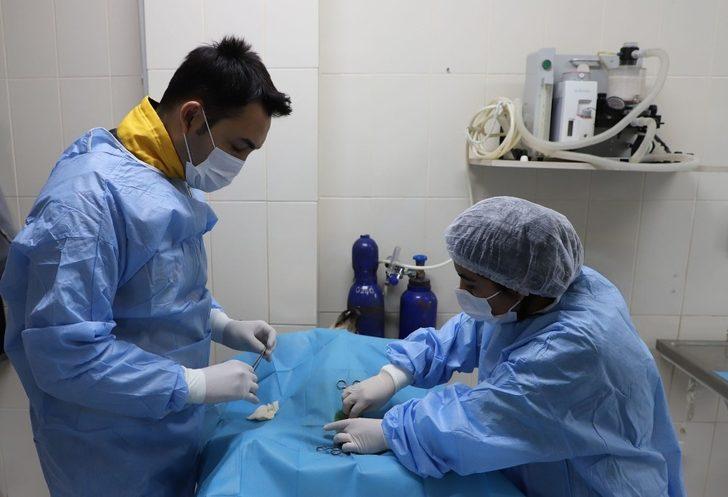 Büyükçekmece’de sokak hayvanları unutulmuyor G3