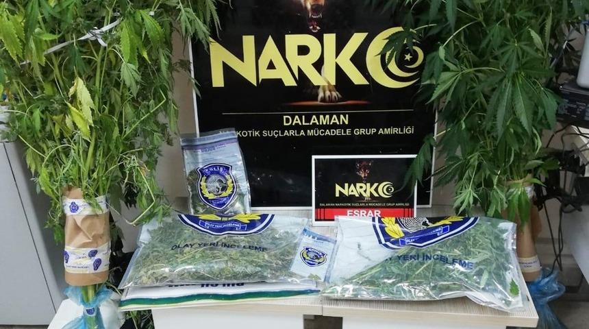 Dalaman&rsquo;da esrar operasyonu