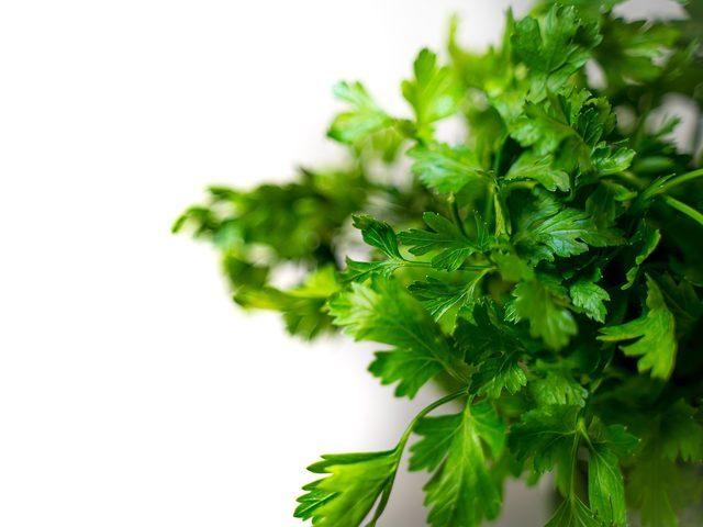 R&uuml;yada maydanoz g&ouml;rmek