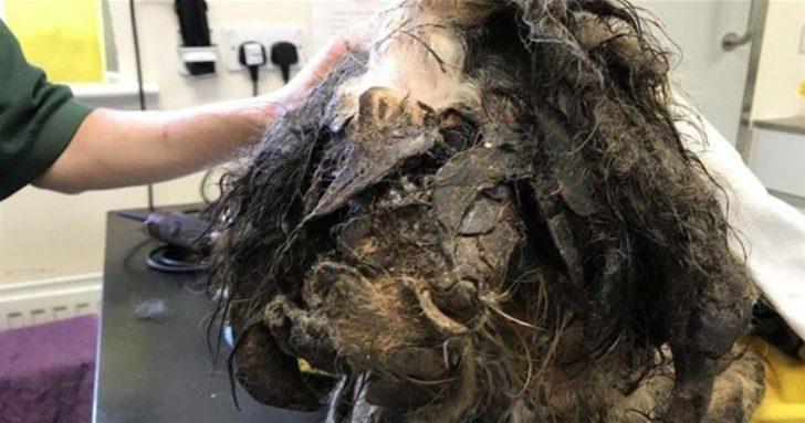 İki hafta boyunca kuyuda mahsur kaldı G4