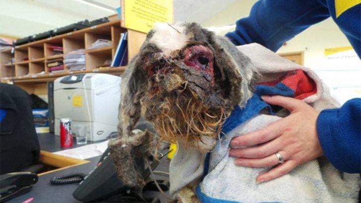 İki hafta boyunca kuyuda mahsur kaldı G5