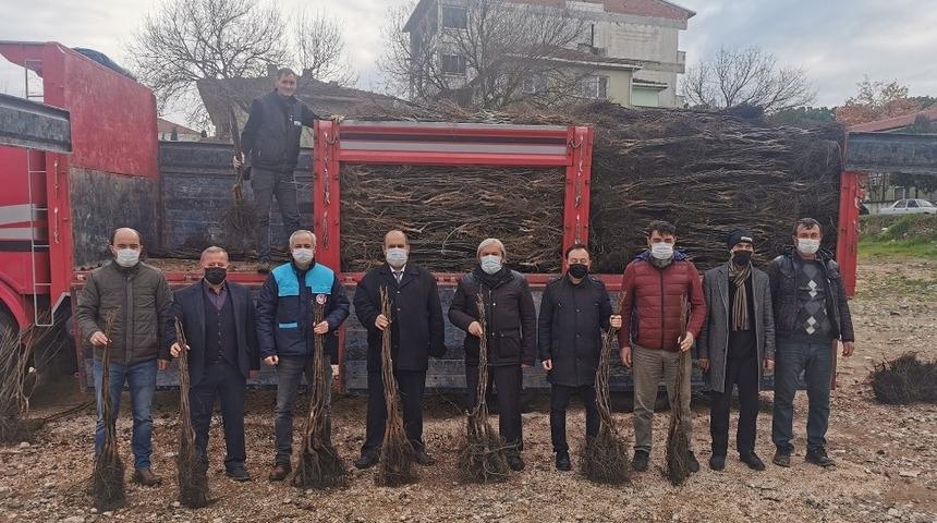 Osmaneli&rsquo;nde meyve ormanları oluşmaya başladı