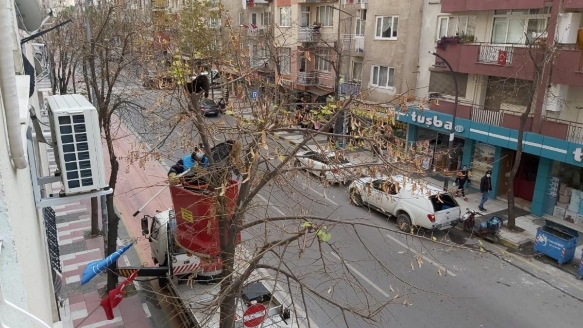 Ağa&ccedil;ta iki g&uuml;n boyunca mahsur kalan yavru kedi kurtarıldı