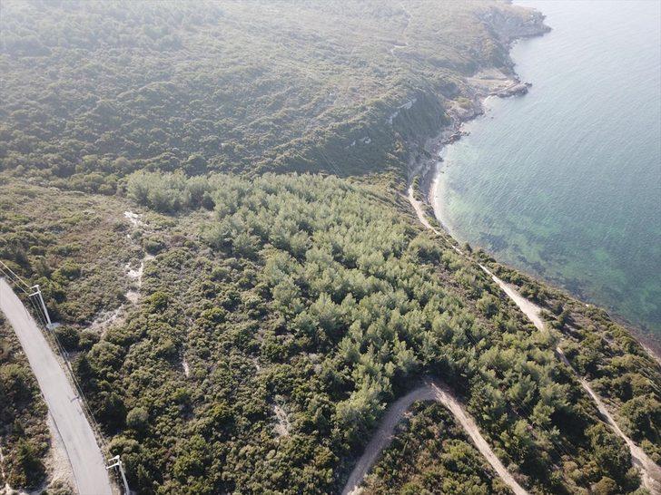 GÜNCELLEME - İzmir'de hazine arazilerini kanuna aykırı şekilde satmaya çalıştıkları iddiasıyla 8 zanlı yakalandı G3