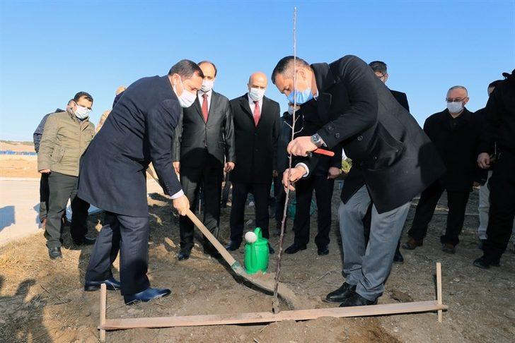 Amasya’da çiftçilere ’Amasya Misket Elması’ fidanı dağıtıldı G2