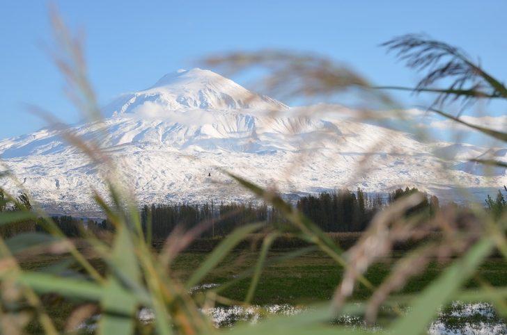 Ovanın yeşili ile bütünleşen Ağrı Dağı görenleri mest etti G1