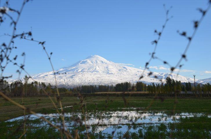 Ovanın yeşili ile bütünleşen Ağrı Dağı görenleri mest etti G2