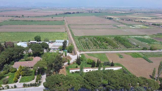 ADÜ Ziraat Fakültesi, Tarım Kongresine ev sahipliği yapacak