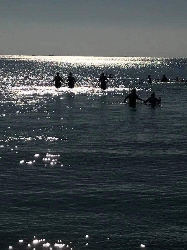 Didim’de bu yılda sokak hayvanları için denize girildi