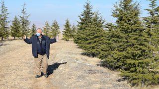 Ağaç sevgisi bozkırın ortasında küçük bir ormana dönüştü