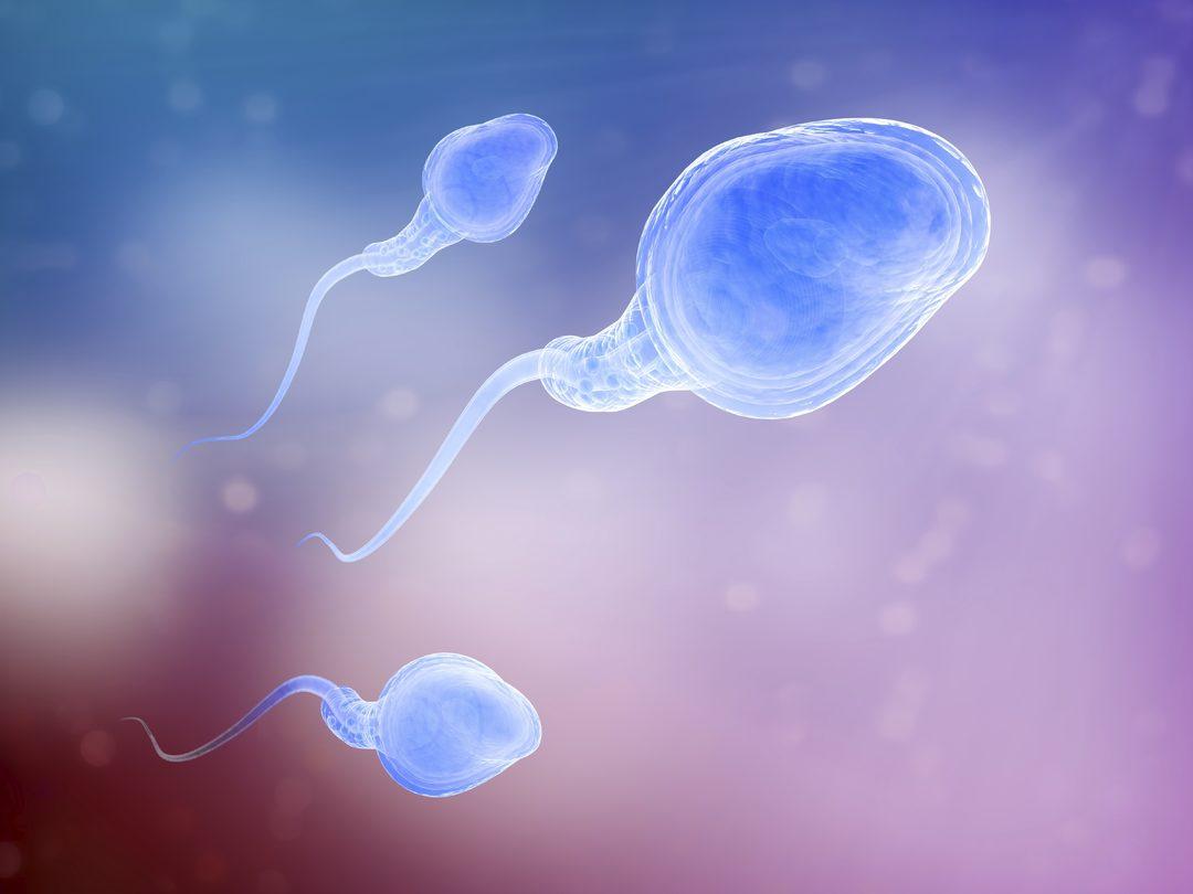 сперма во влагалище у детей фото 99