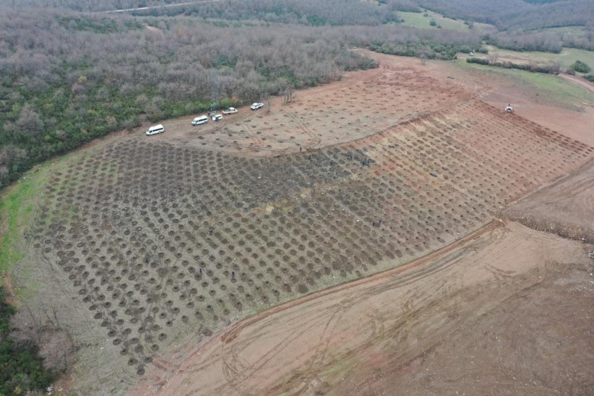 Sepet&ccedil;i dolgu alanına bin 600 ağa&ccedil; dikilecek