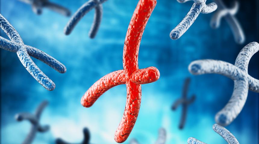  Gençlik formülü: Telomer nedir?