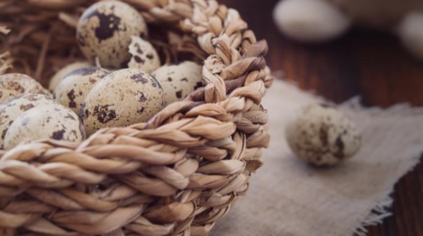 Tam bir vitamin deposu: Bıldırcın yumurtasının faydaları nelerdir? 