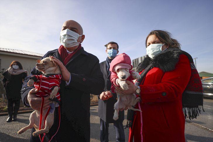 Ankara'da ses telleri kesilen köpeklerler sahiplendirilecek G5