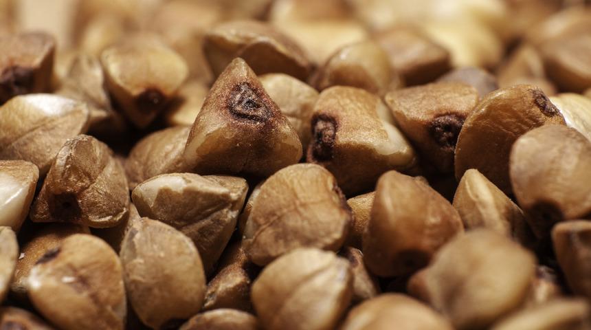 Tam bir besin deposu: Karabuğday ununun faydaları nelerdir?