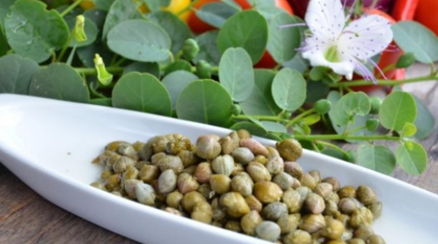 Kapari nedir? Kaparinin insan sağlığına faydaları nelerdir? 