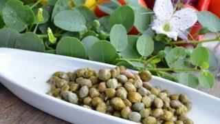 Kapari nedir? Kaparinin insan sağlığına faydaları nelerdir? 