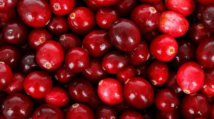 Doğanın insana sunduğu şifa kaynağı: Kızılcık