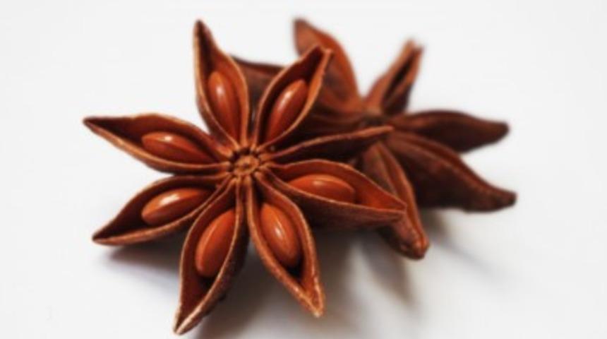 Anason yağı faydaları ve kullanım alanları nelerdir?