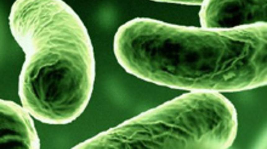 &Ouml;ld&uuml;r&uuml;c&uuml; Mikroba Yeni &Ouml;nlemler