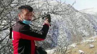 Ormanlık alanda fotokapana yakalanan 'Dağların oğlu'na kısıtlamayı ihlalden ceza