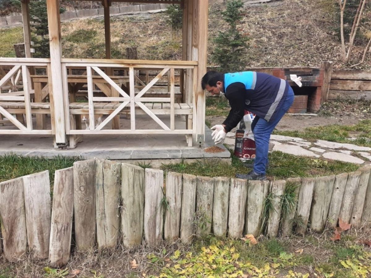 Battalgazi&rsquo;de sokak hayvanları unutulmadı