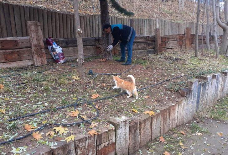 Battalgazi’de sokak hayvanları unutulmadı G3