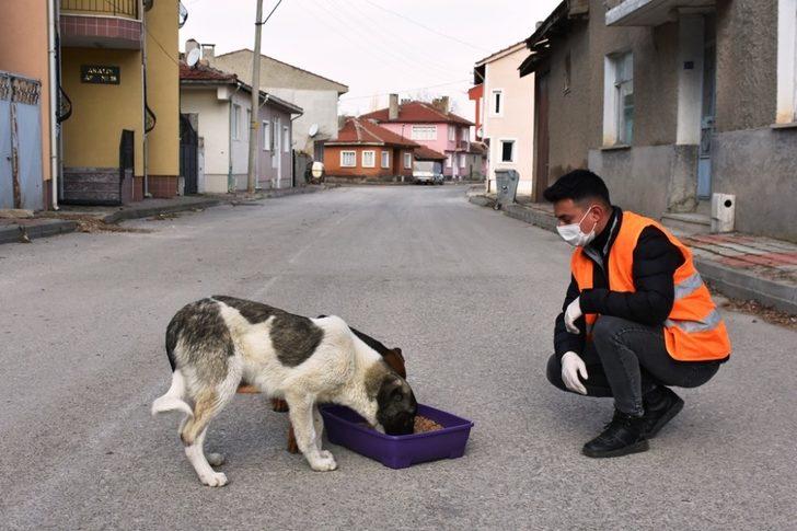 İnönü Belediyesi sokak hayvanlarının yanında olmayı sürdürüyor G4