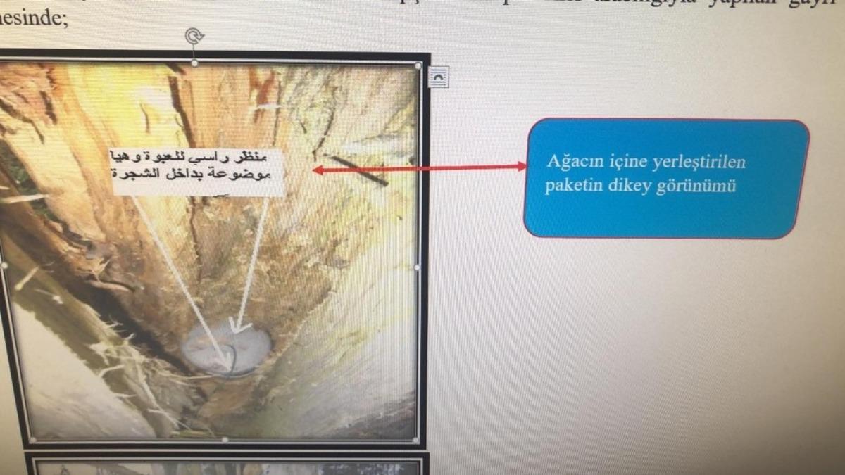 Yılbaşında eylem hazırlığındaki DEAŞ &uuml;yesi ter&ouml;ristler yakalandı