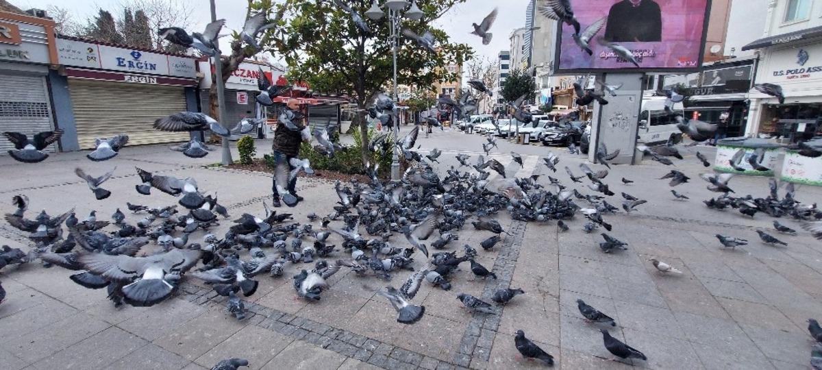 Silivri&rsquo;de a&ccedil; kalan g&uuml;vercinleri polis besledi