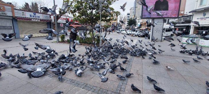 Silivri’de aç kalan güvercinleri polis besledi G1