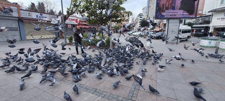 Silivri’de aç kalan güvercinleri polis besledi G2